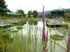 Natursee vom Hotel Lindenwirt