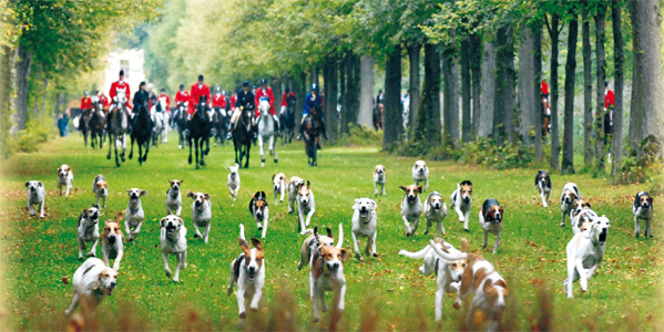 Historische Jagd und exklusive Kutschengala im Schlosspark Oberschleißheim