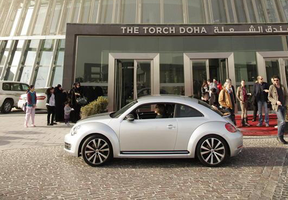 Beetle-Doha-BRAUERPHOTOS