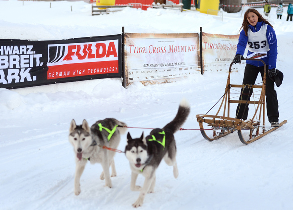 Hundeschlittenrennen ‚Tirol Cross Mountain‘ 2012: Promis, Pfoten und Pulverschnee!