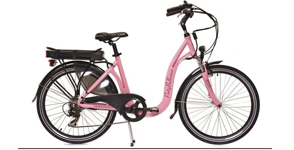 Pretty Ballerinas erstes E-Bike