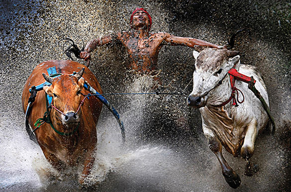 World-Press-Photo-Ausstellung-Muenchen-Fotocredit-Wei-Seng-Chen