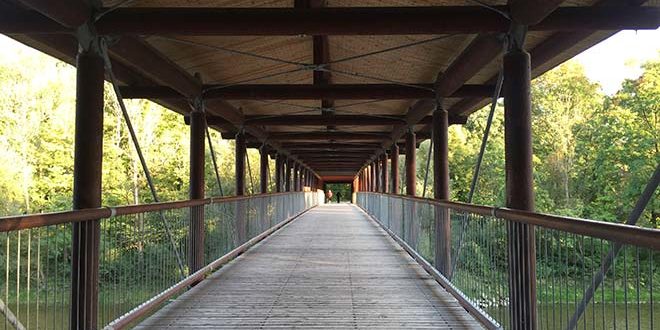 Englischer Garten mit Holzbrücke an der Isar Nähe St. Emmeram