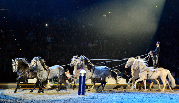 Promi-Aufgalopp bei der Pferdeshow ‚Apassionata‘ in der Olympiahalle