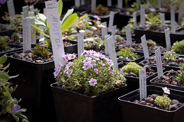 Deutschlands exklusivste Gartenmesse: 10 Gründe, die Freisinger Gartentage nicht zu verpassen