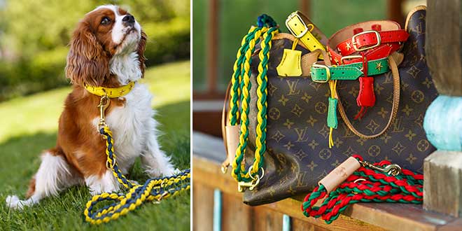 Hundeaccessoires en vogue: ‚Dogs in Style‘ verkauft im Priscohaus