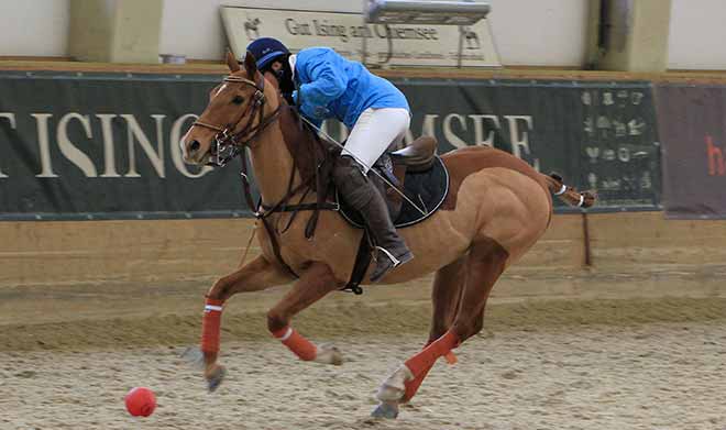 Polo, Pferde, Partylaune: Arena Polo auf Gut Ising