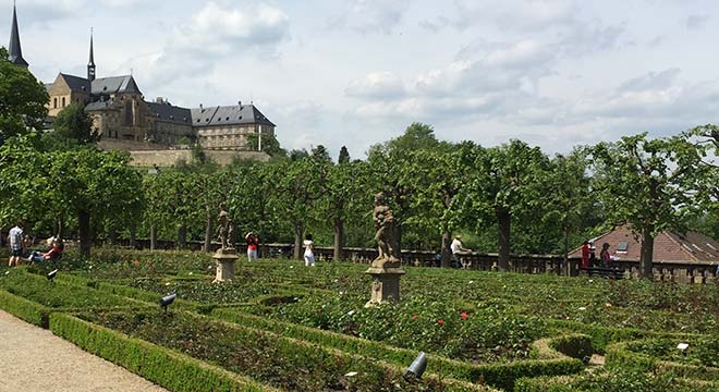 Bamberg-Dom-Rosengarten