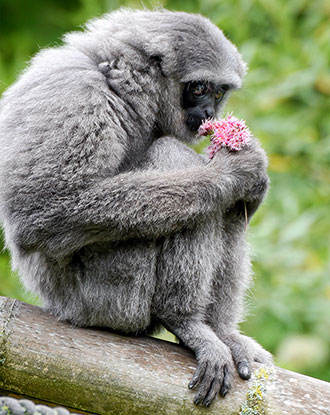 Singletreff im Tierpark Hellabrunn