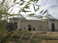 Valentinstag als Singletreff: Tierpark Hellabrunn mit Programm zum Verlieben