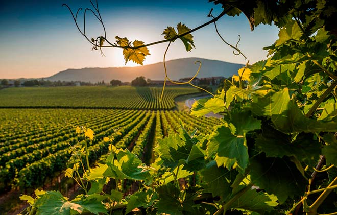 Franciacorta: Die nord-italienische Schaumweinregion