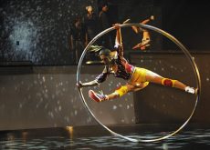 Circus Roncalli oder Cirque Eloize – Wohin geht die Zirkus-Reise?
