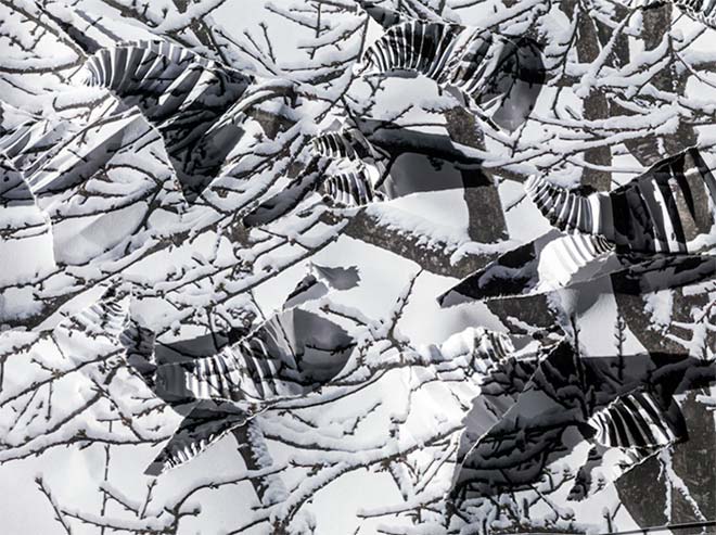 Neun Doppelseiten widmet Hamm seinem Winterbaum im Buch.