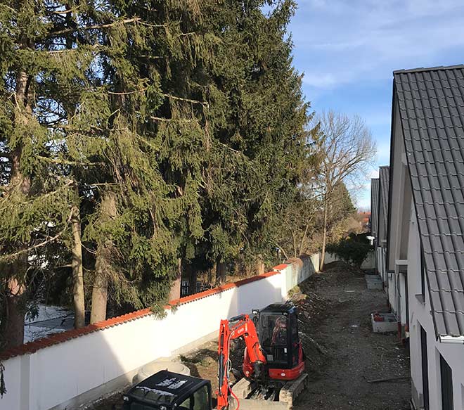 Versicherungen zahlen hier nichts: Wenn die Bäume des Nachbarn umfallen, muss dieser den Schaden nur zahlen, wenn man ihm nachweisen kann, dass die Standfestigkeit der Bäume nicht mehr gewährleistet ist!