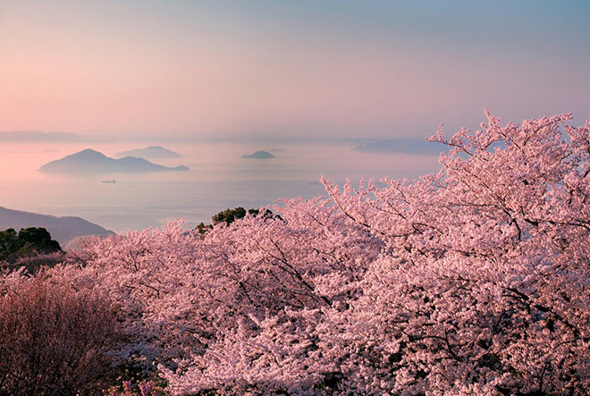 Hervorragende Aussicht über die Seto-Inland Sea. Hier liegt die Kaninchen Insel in Japan. Fotocredit: Setouchi Tourism Authority