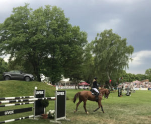 Großes Finale der höchstdotierten Dressurserie der Welt: Pferd International auf der Reitanlage Riem