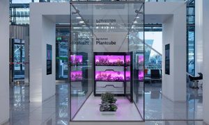 Wohntrends 2020: Innovativer Indoor-Kräuter-Garten für die Küche von morgen