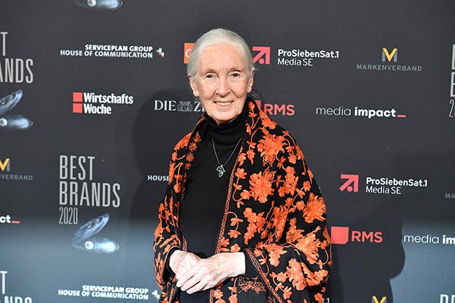 Jane Goodall sorgte für 'Green Glamour' in München. Fotocredit: BrauerPhotos, G.Nitschke 