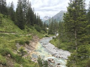 Immunsystem stärken: So effektiv können simple Dinge sein!