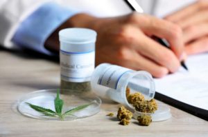 Cannabis auf Rezept: Pharmaunternehmer als Botschafter