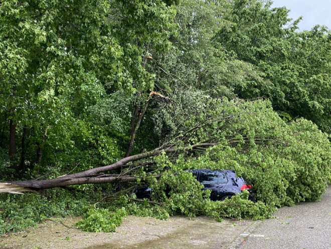 Wetter München: Wie aus dem Nichts stürzen sichtbar 'gesunde' Bäume auf parkende Autos. Fotocredit: EM