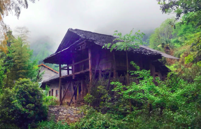 Der Ursprung der kräftigen Pflanzen des Shufeng Jiedu: Eine Landapotheke in den tiefen Bergen nahe Sangzhi, Provinz Hunan in Südchina in der die Rezeptur des Tujia-Volks seit Jahrzehnten bewahrt wurde.