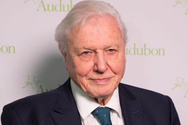 David Attenborough