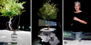 Der Kunstherbst hat begonnen