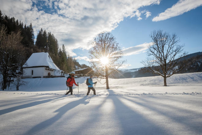 Märchenhaft: Auf dem KAT Walk Winter durch die Kitzbüheler Alpen. Foto: Kitzbüheler Alpen, Erwin Haiden