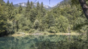 Deutschlands erster Bergkurwald in Bad Reichenhall