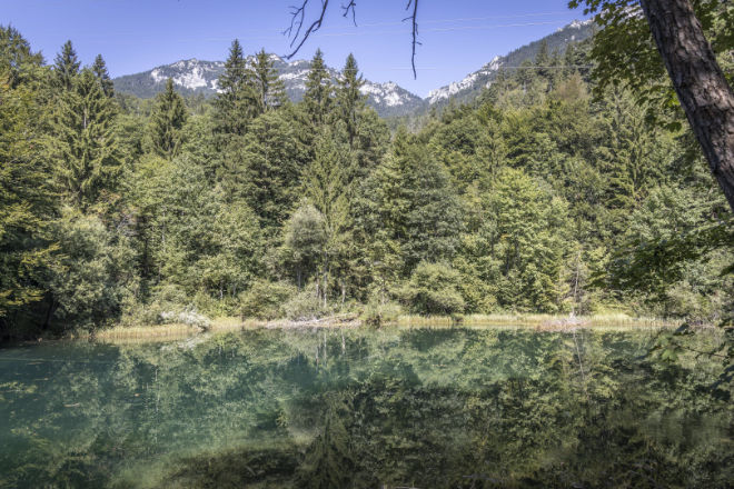 Deutschlands erster zertifizierter Bergkurwald zum mega Waldbaden
