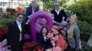 Flower Power Festival: Vier Münchner Kultur-Institutionen initiieren mega Stadtfest