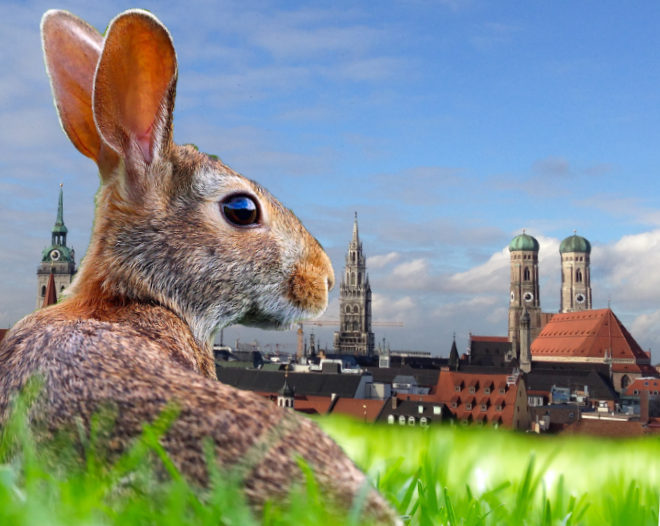 Nach dem Valentinstag und Karneval folgt mit Ostern der nächste beliebte Feiertag. Unsere Ideen für Geschenke für Ostern