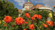 Im Botanischen Garten zum Ursprung der Genetik