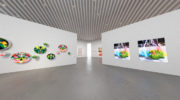 Münchener Start-Up xcircle inszeniert erste NFT Kunstgalerie