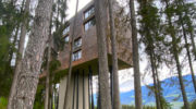 Baumhotel Feeling in Brixen: My Arbor Plose Wellness Hotel
