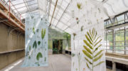 Kunst und Ökologie: Botanischer Garten mit 'Avantgardening'-Ausstellung