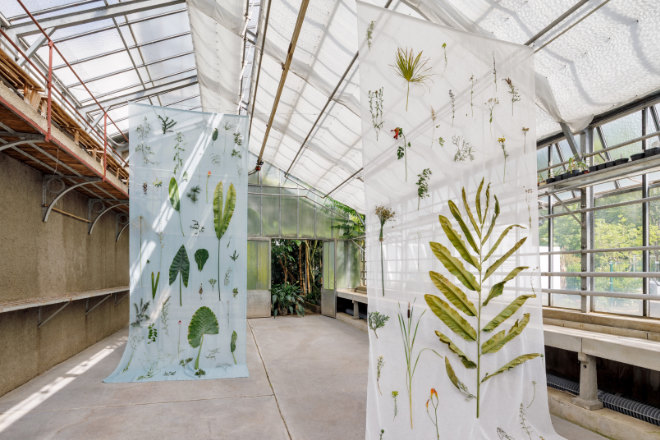 Botanischer Garten Öffnungszeiten für die Ausstellung im Wintergarten: 'Avantgarden' von der österreichischen Künstlerin Evalie Wagner. Fotocredit: Maximilian Haidacher