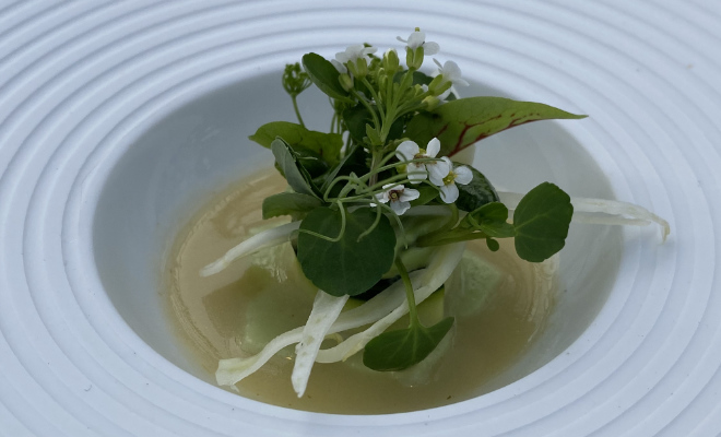 Zur Vorspeise 'Frischer Erbsentofu' - Zucchini, Fenchel & Brunnenkresse wurde 'Veuve Clicquot Yellow Label Magnum' serviert. 