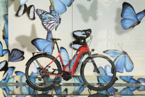 Welcher E-Bike Typ bist du? Tipps, um das richtige Rad zu finden