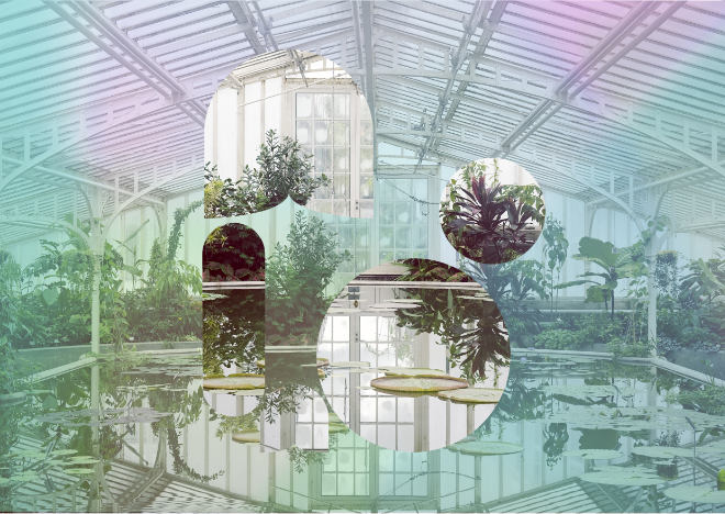 Botanischer Garten München-Nymphenburg: Neue Kunstinstallation im Victoriahaus