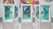 Damian-Hirst-Ausstellung-Muca-Muenchen