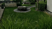 Garten-Tipps
