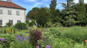 Gartenpflanzen-Kalender