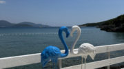 Lustica-Bay