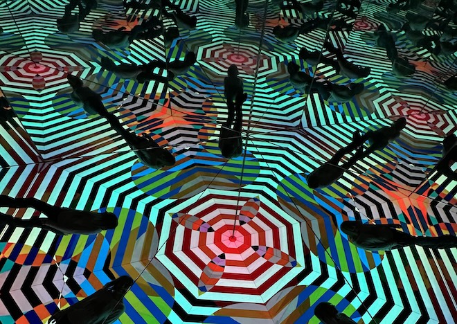Illusion als Kunstform: Farben, Muster und Spiegelungen verschmelzen zu einem endlosen Spiel der Perspektiven.