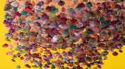 Rungploy-UnderTheButterfly-ARTMUC